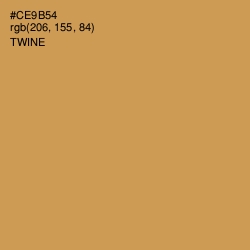 #CE9B54 - Twine Color Image
