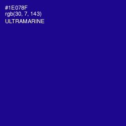 #1E078F - Ultramarine Color Image