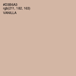#D3B6A3 - Vanilla Color Image