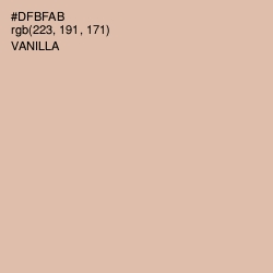 #DFBFAB - Vanilla Color Image