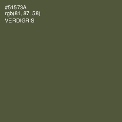 #51573A - Verdigris Color Image
