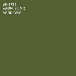 #545F33 - Verdigris Color Image