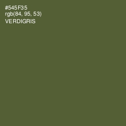 #545F35 - Verdigris Color Image