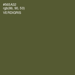 #565A32 - Verdigris Color Image