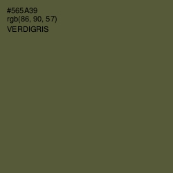 #565A39 - Verdigris Color Image
