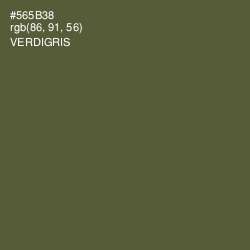 #565B38 - Verdigris Color Image