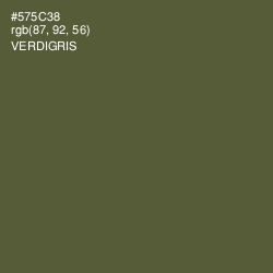 #575C38 - Verdigris Color Image