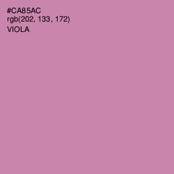 #CA85AC - Viola Color Image