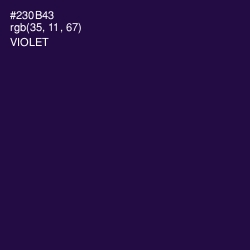 #230B43 - Violet Color Image