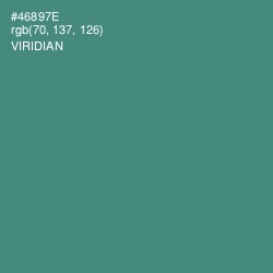 #46897E - Viridian Color Image