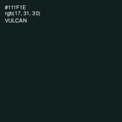 #111F1E - Vulcan Color Image