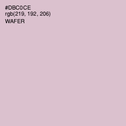 #DBC0CE - Wafer Color Image