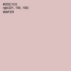 #DDC1C0 - Wafer Color Image