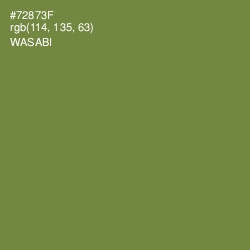 #72873F - Wasabi Color Image