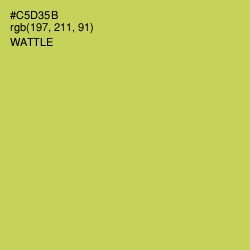 #C5D35B - Wattle Color Image