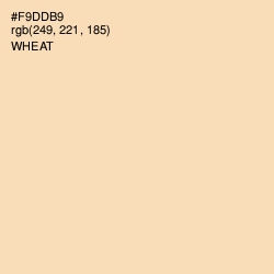 #F9DDB9 - Wheat Color Image