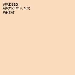 #FADBBD - Wheat Color Image