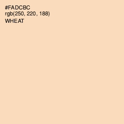 #FADCBC - Wheat Color Image
