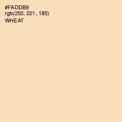 #FADDB9 - Wheat Color Image