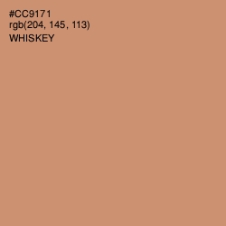 #CC9171 - Whiskey Color Image