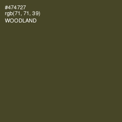 #474727 - Woodland Color Image