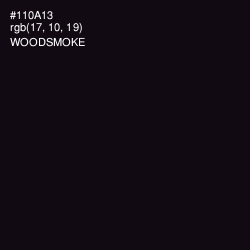 #110A13 - Woodsmoke Color Image