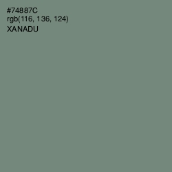 #74887C - Xanadu Color Image