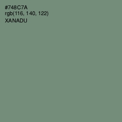 #748C7A - Xanadu Color Image