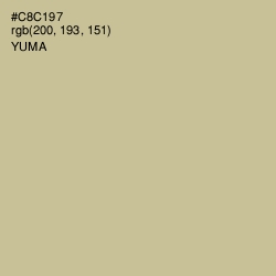 #C8C197 - Yuma Color Image