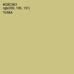 #C8C383 - Yuma Color Image