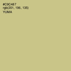 #C9C487 - Yuma Color Image