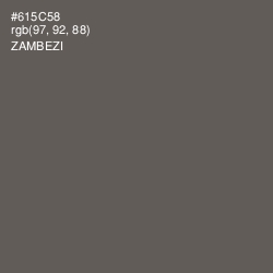 #615C58 - Zambezi Color Image