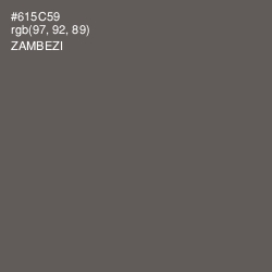 #615C59 - Zambezi Color Image