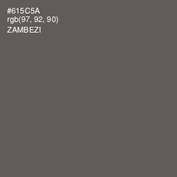 #615C5A - Zambezi Color Image
