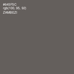 #645F5C - Zambezi Color Image