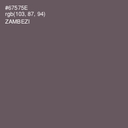 #67575E - Zambezi Color Image