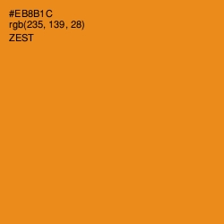 #EB8B1C - Zest Color Image