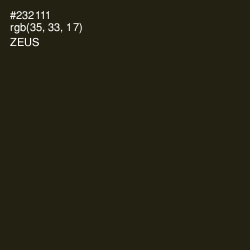 #232111 - Zeus Color Image