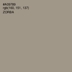 #A09789 - Zorba Color Image