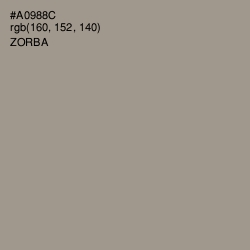 #A0988C - Zorba Color Image