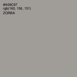 #A09C97 - Zorba Color Image