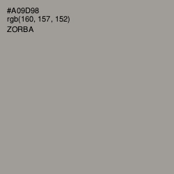#A09D98 - Zorba Color Image