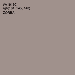 #A1918C - Zorba Color Image