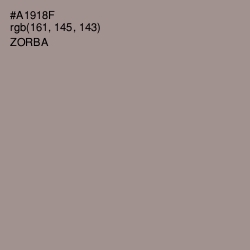 #A1918F - Zorba Color Image