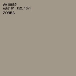 #A19889 - Zorba Color Image