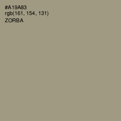 #A19A83 - Zorba Color Image