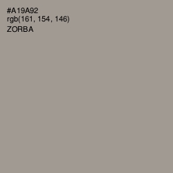 #A19A92 - Zorba Color Image