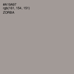 #A19A97 - Zorba Color Image
