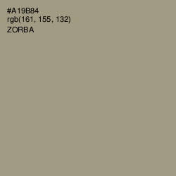 #A19B84 - Zorba Color Image