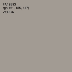 #A19B93 - Zorba Color Image